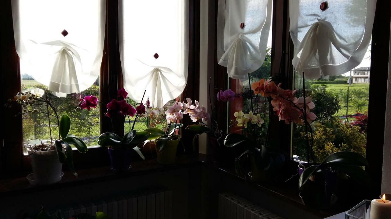 I 99 Ulivi Bed & Breakfast Cavour ภายนอก รูปภาพ